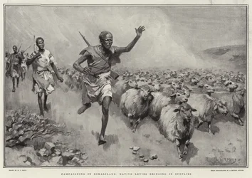 Campaigning in Somaliland Native Levies bringing in supplies